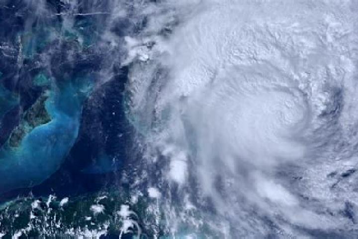Rose, 26 — Escort in Landfall, United States