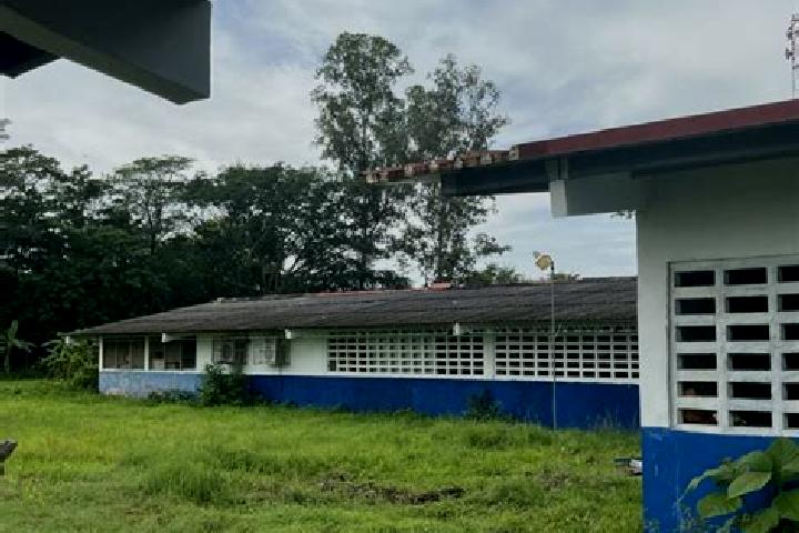 Rose, 26 — Escort in Las Guabas, Panama