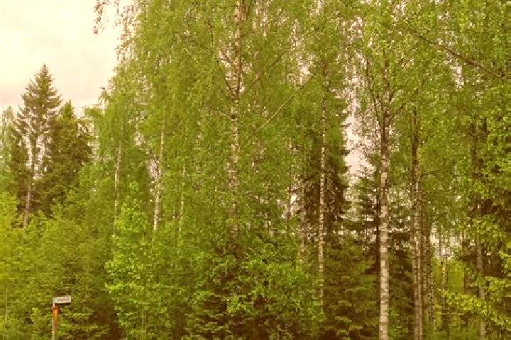 Rose, 26 — Escort in Pohjois-Hervanta, Finland