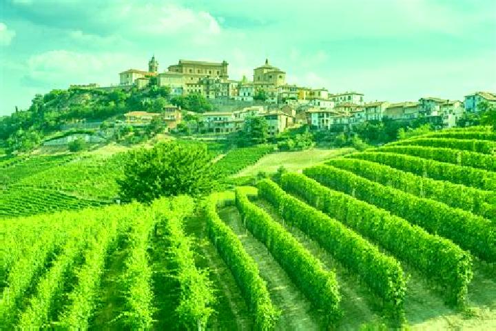 Rose, 26 — Escort in Serravalle Langhe, Italy