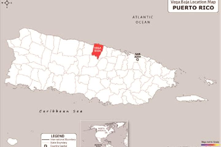 Rose, 26 — Escort in Vega Baja, Puerto Rico