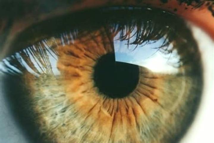 Rose, 27, a dark blonde hazel-eyed middle eastern companion based in Markt Bibart. Offering CIM, BDSM, Massage. Available for incall and outcall, overnight b...