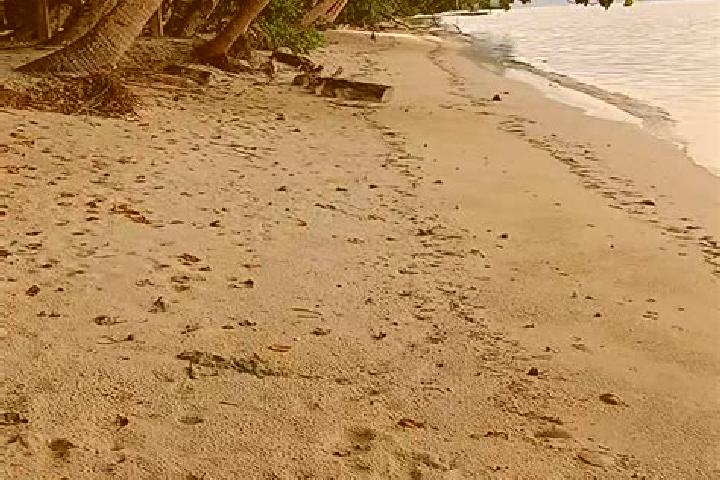 Rose, 27 — Escort in Mengellang, Palau