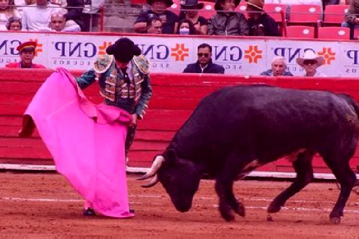Rose, 27 — Escort in Tlahuelilpan, Mexico