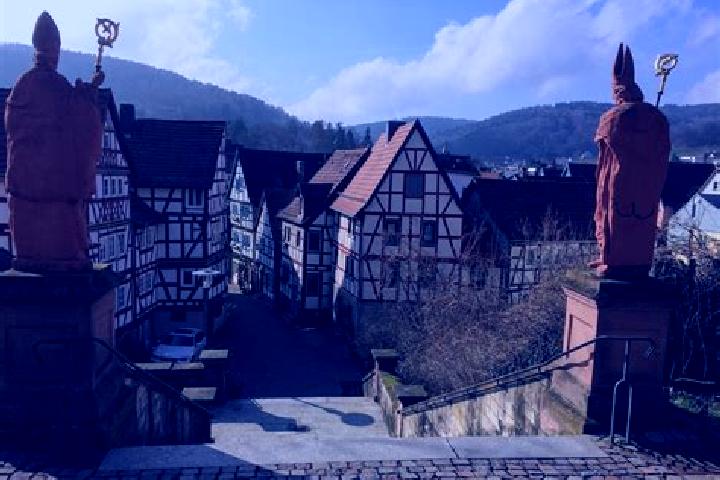 Rose, 28 — Escort in Bad Orb, Germany