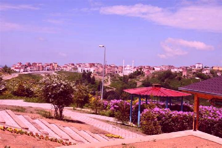 Rose, 28 — Escort in Guergentepe, Turkey