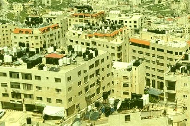 Rose, 28 — Escort in Nablus, Palestine