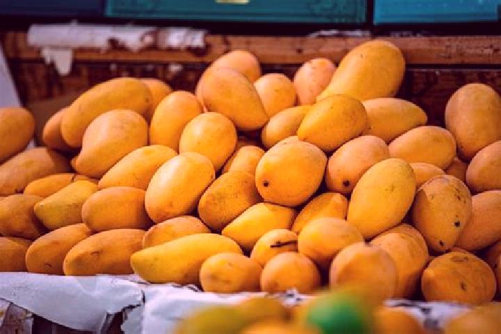 Rose, 28 — Escort in Plan de los Mangos, Mexico