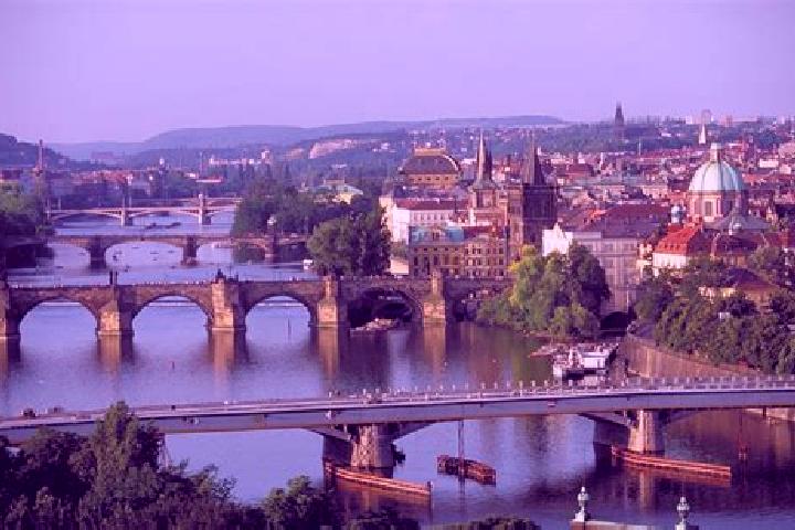 Rose, 28 — Escort in Svetice, Czech Republic