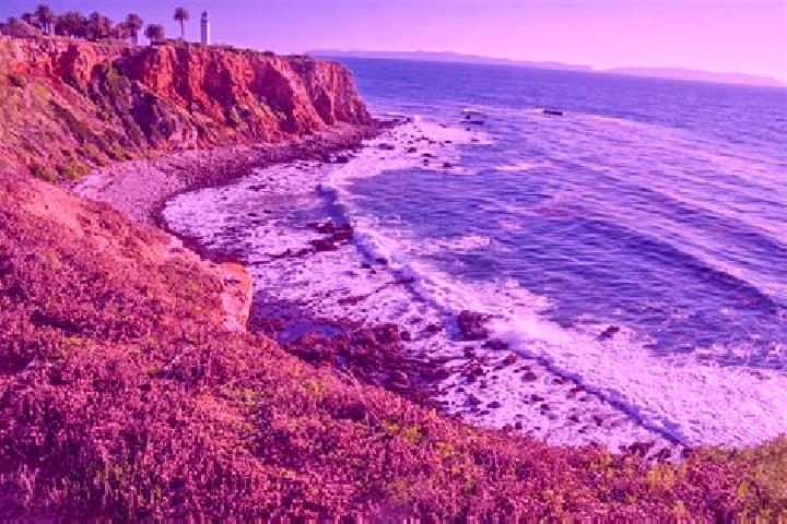 Rose, 29, a chestnut brown-eyed ebony companion based in Palos Verdes. Offering Prostate Massage, Duos, GFE. Available for incall and outcall, day and evenin...