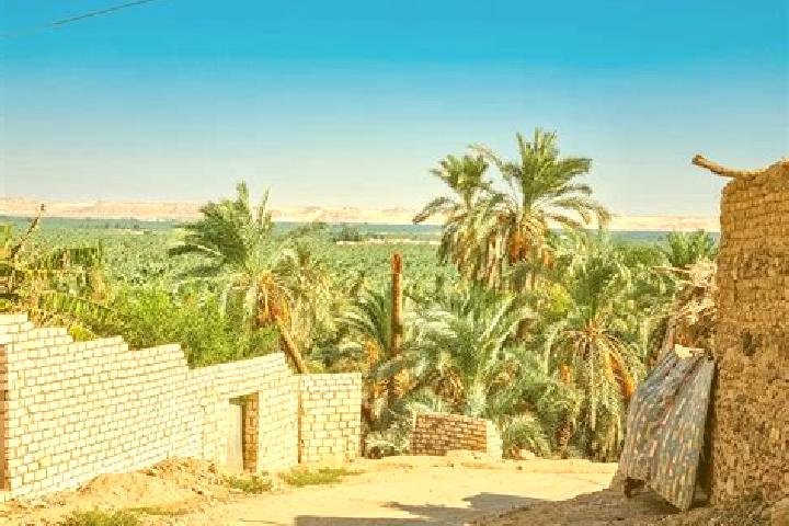 Rose, 29 — Escort in Al Bawiti, Egypt