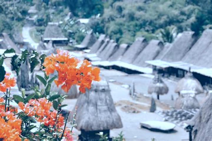 Rose, 29 — Escort in Bajawa, Indonesia