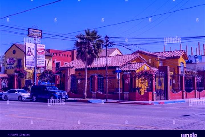 Rose, 29 — Escort in Los Algodones, Mexico