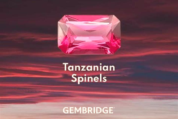 Rose, 29 — Escort in Mahenge, Tanzania