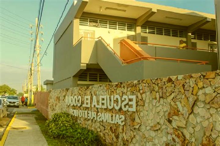 Rose, 29 — Escort in Potala Pastillo, Puerto Rico