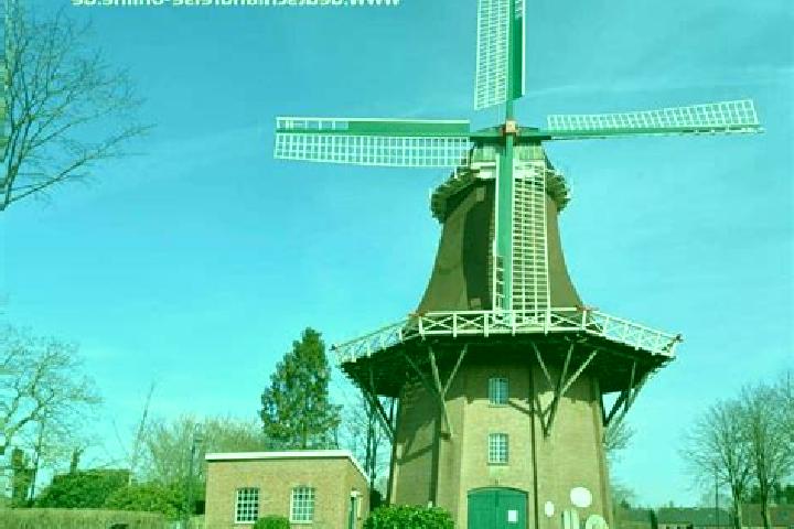 Rose, 29 — Escort in Upgant-Schott, Germany