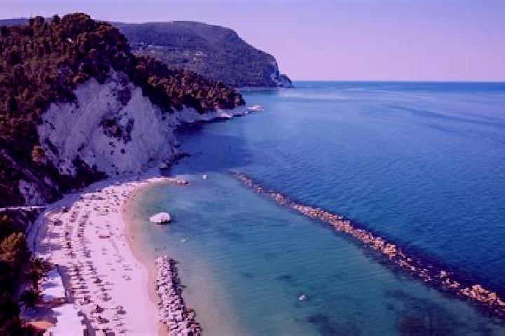 Rose, 30 — Escort in Agugliano, Italy