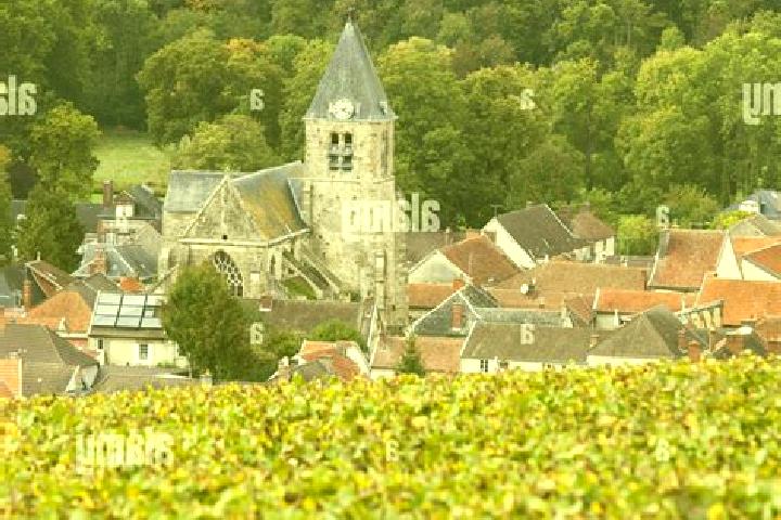 Rose, 30 — Escort in Avenay-Val-d Or, France