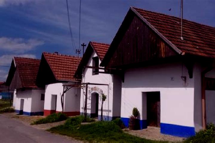 Rose, 30 — Escort in Blatnice pod Svatym Antoninkem, Czech Republic