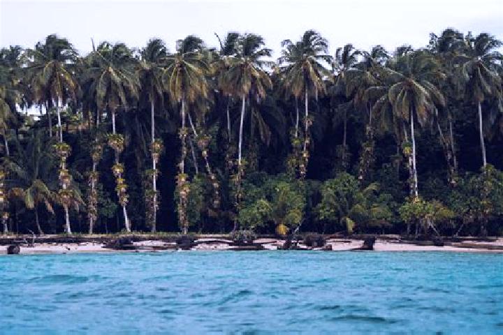Rose, 30 — Escort in Las Bocas, Mexico