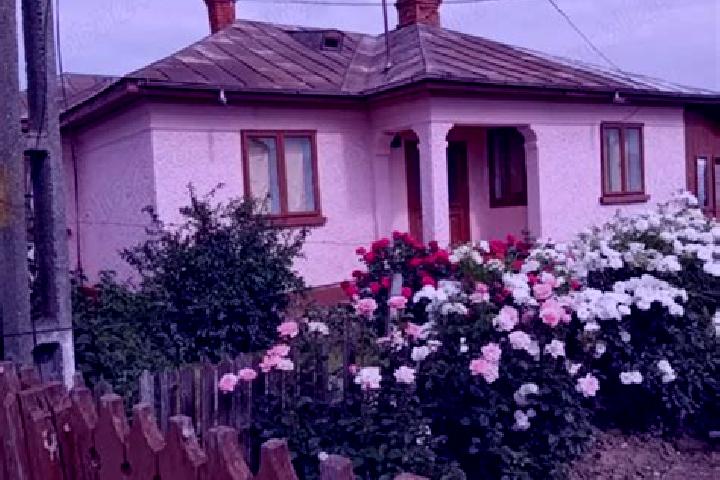 Rose, 30 — Escort in Mihalceni, Romania
