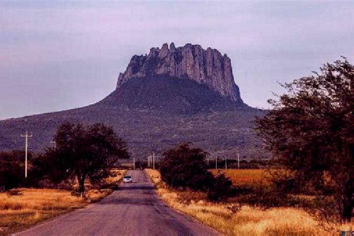 Rose, 30 — Escort in San Miguel de Horcasitas, Mexico