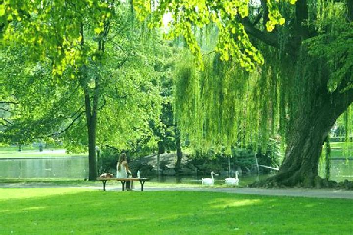 Rose, 30 — Escort in Virginia Park, Canada