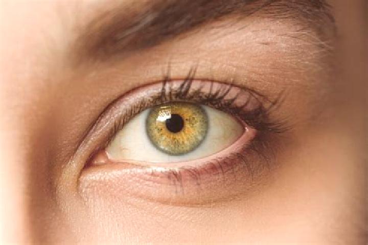 Rose, 31, a black hazel-eyed mixed companion based in Crixas do Tocantins. Offering Striptease, Couples, Fetish. Available for incall and outcall, day and ev...