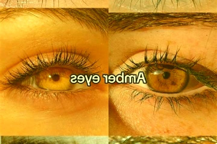Rose, 31, a chestnut amber-eyed middle eastern companion based in Munchenstein. Offering CIM, Overnight, Couples. Available for incall and outcall, day and e...