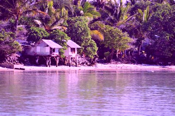Rose, 31 — Escort in Ambo Village, Kiribati