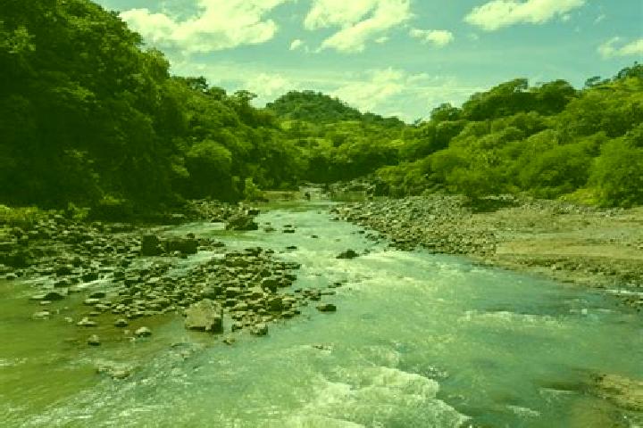 Rose, 31 — Escort in Goascoran, Honduras