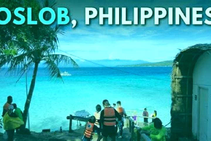 Rose, 31 — Escort in Oslob, Philippines