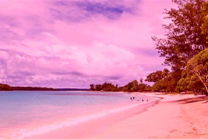 Rose, 31 — Escort in Port-Olry, Vanuatu
