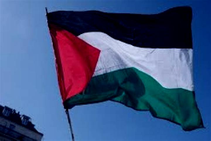 Rose, 32 — Escort in Az Zuwaydah, Palestine