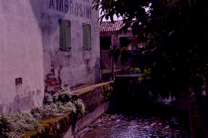 Rose, 32 — Escort in Grumolo delle Abbadesse, Italy