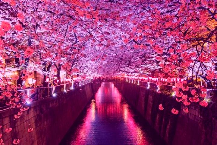 Rose, 32 — Escort in Kotsubaki, Japan