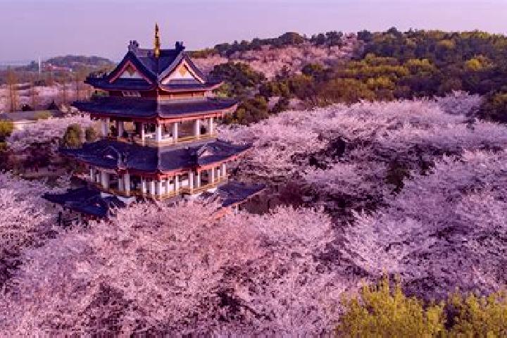 Rose, 32 — Escort in Meiyuan Xincun, China