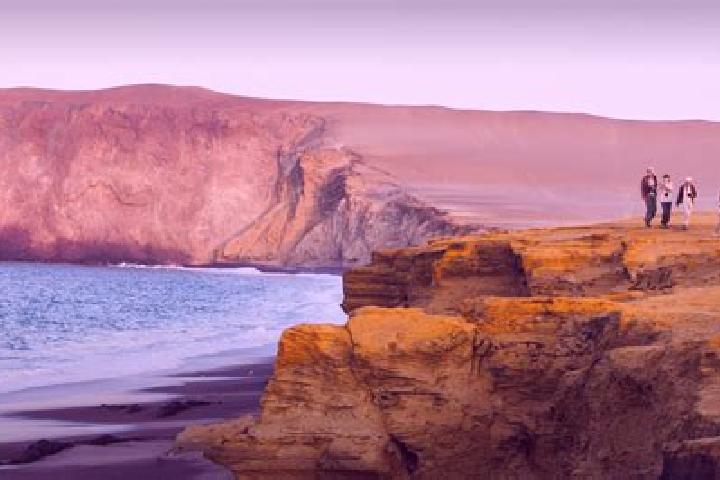 Rose, 32 — Escort in Paracas, Peru