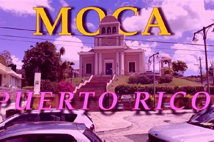 Rose, 33 — Escort in Moca, Puerto Rico