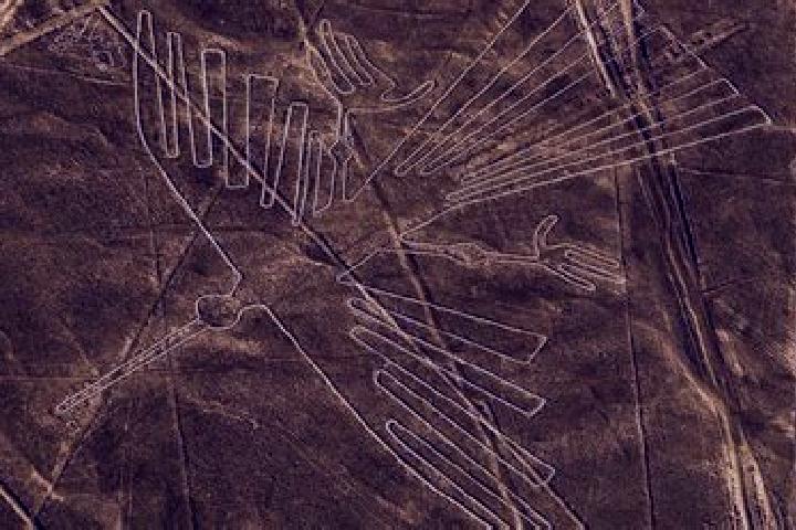 Rose, 33 — Escort in Nazca, Peru
