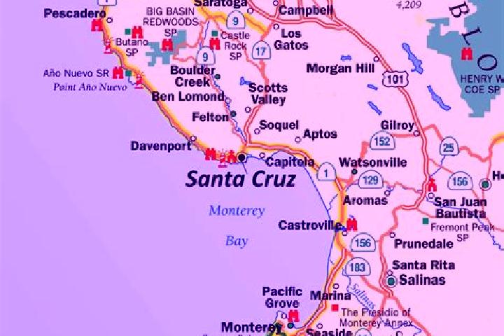 Rose, 33 — Escort in Santa Cruz, United States