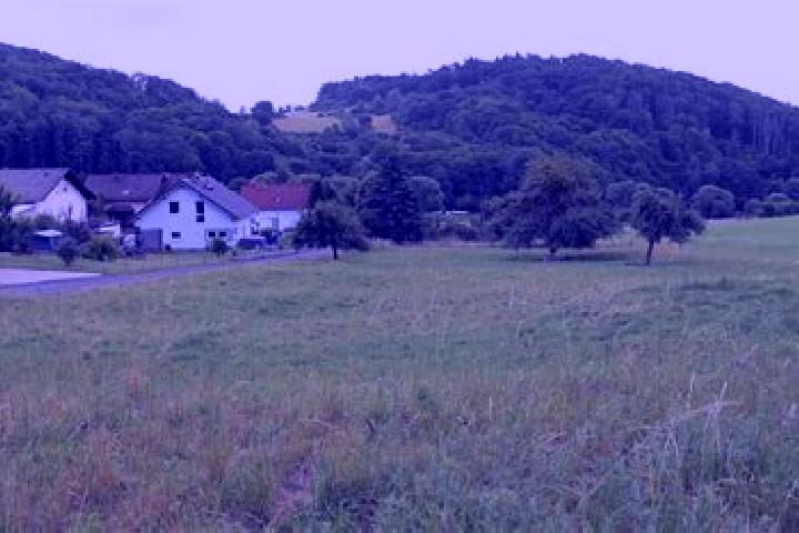 Rose, 33 — Escort in Siegbach, Germany