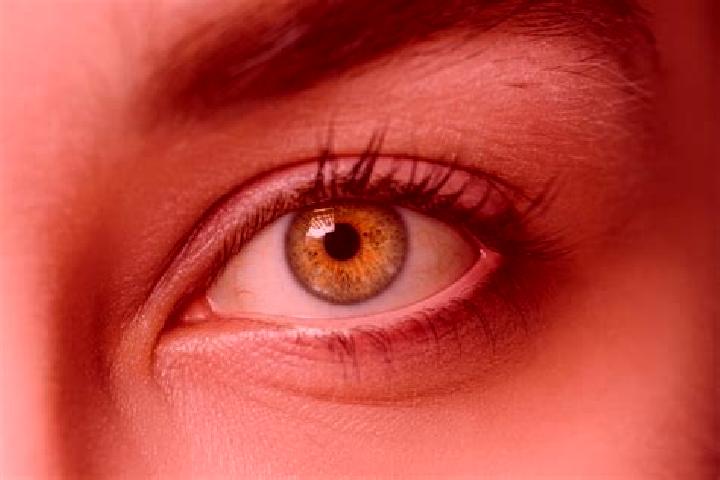 Rose, 34, a black hazel-eyed mixed companion based in Podor. Offering Travel Companion, Massage, Tantra. Available for incall and outcall, day and evening da...