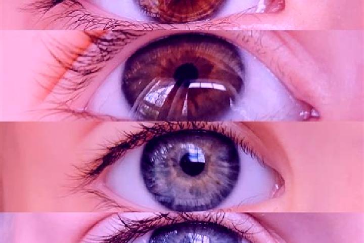 Rose, 34, a chestnut grey-eyed middle eastern companion based in Bautista Chico. Offering OWO, Tantra, BDSM, CIM. Available for incall and outcall, overnight...