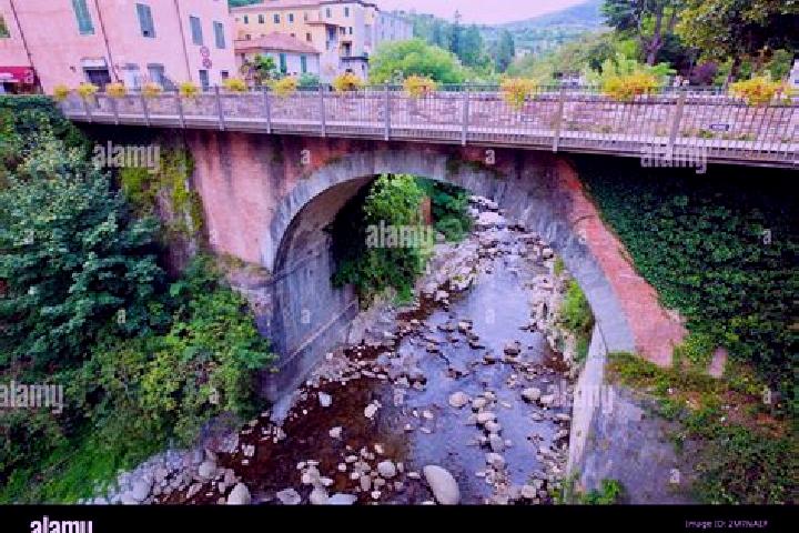 Rose, 34 — Escort in Bagnone, Italy
