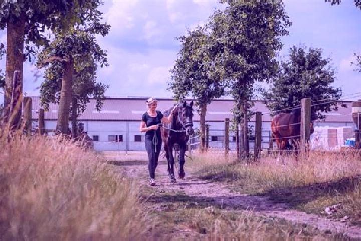 Rose, 34 — Escort in Kerkenveld, Netherlands
