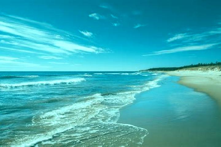 Rose, 34 — Escort in Sandy Beach, Australia