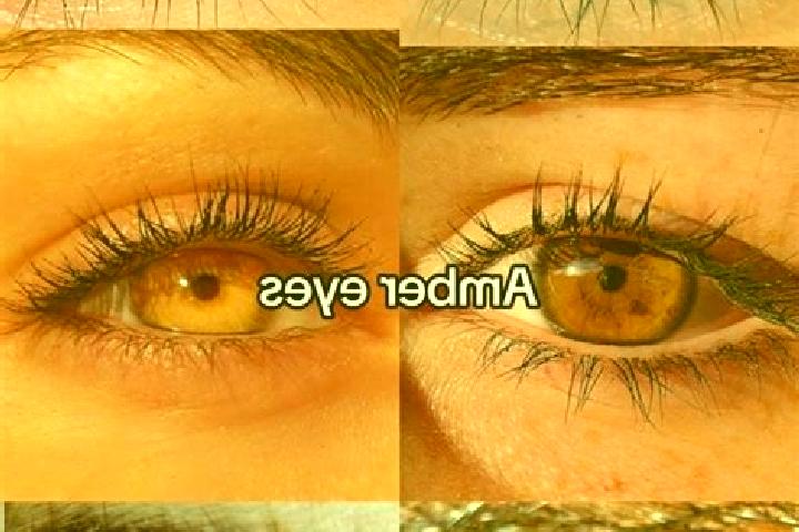 Rose, 35, a chestnut amber-eyed slavic companion based in Fortim. Offering A-Level, Striptease, Dinner Date, 69. Available for incall and outcall, overnight ...