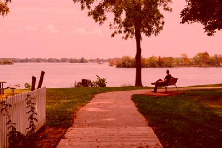 Rose, 35 — Escort in Amherstburg, Canada