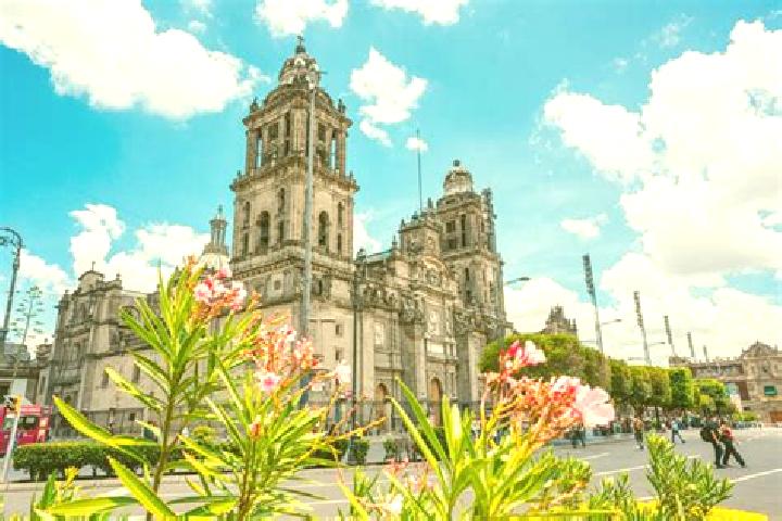 Rose, 35 — Escort in Calzadas, Mexico
